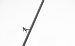 019 - freiheit nach oben